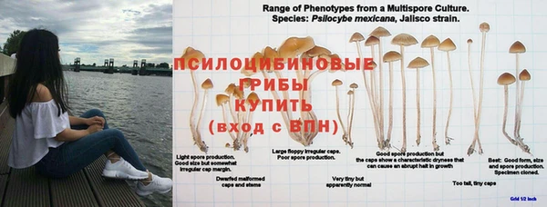 таблы Алексин
