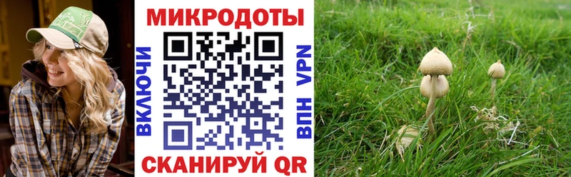 как найти наркотики Пучеж Галлюциногенные грибы мицелий
